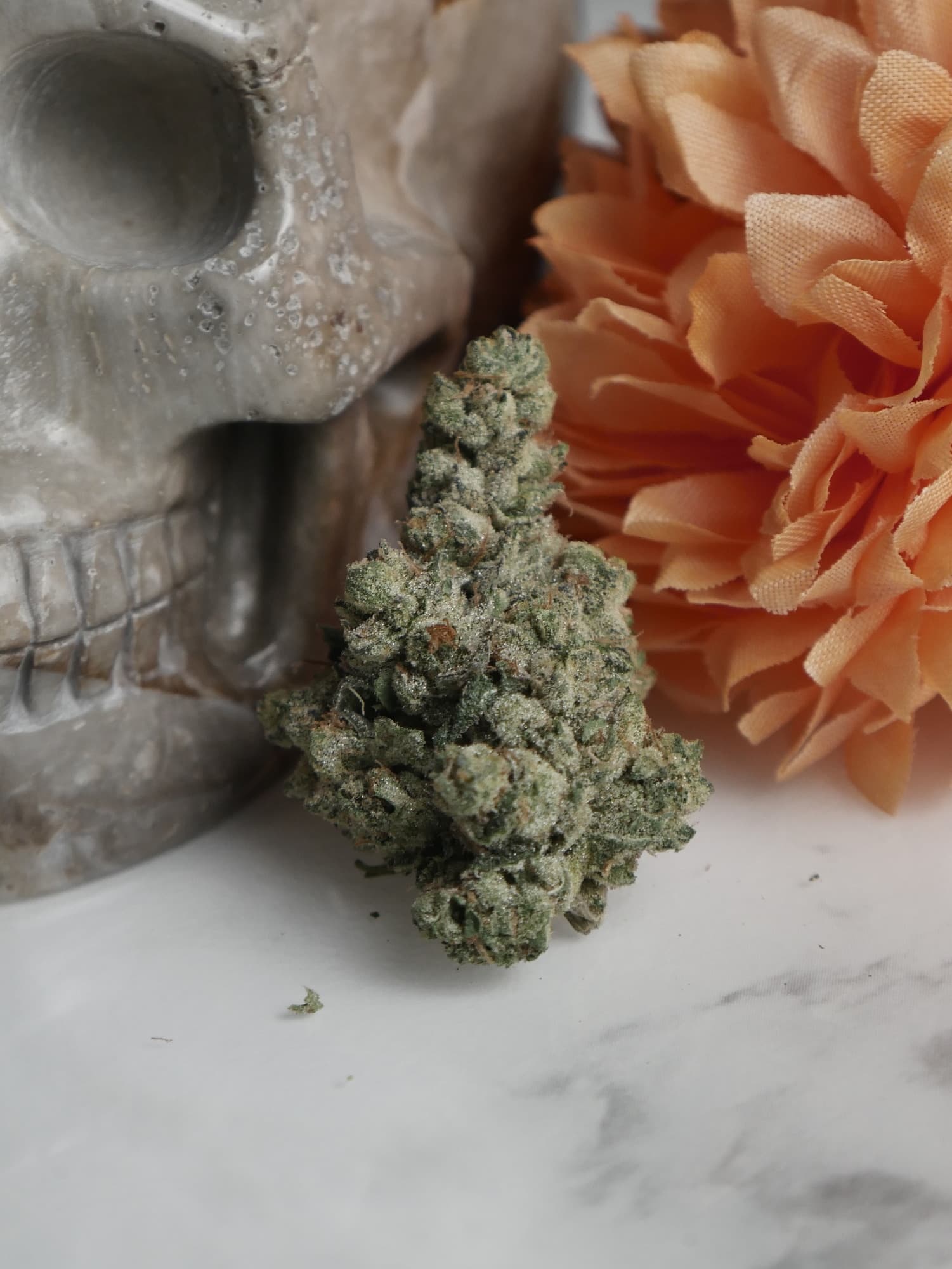 Garlic Diesel